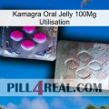 Kamagra Oral Jelly 100Mg Use 38